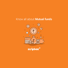 See the complete list of mutual funds with price percent changes, 50 and 200 day averages, 3 month returns and ytd returns. What Is Mutual Fund Definition Types Feature And Benefits