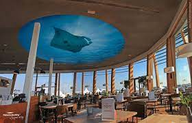 pin op sky ceiling art
