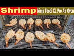 People were excited that there was a new kid on the block. Frozen Deep Fryer Shrimp In An Air Fryer Oven Ninja Foodi Xl Pro Youtube
