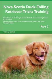 Maybe you would like to learn more about one of these? Nova Scotia Duck Tolling Retriever Tricks Training Nova Scotia Duck Tolling Retriever Tricks Games Training Tracker Workbook Includes Nova Multi Level Tricks Games Agility Part 2 Central Training 9781526951939 Amazon Com Books