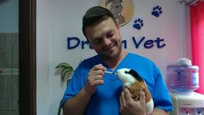 Strada targu neamt nr.30, bl.715a, sector 6. Cabinet Veterinar Dream Vet Sector 6 Servicii B97ow3