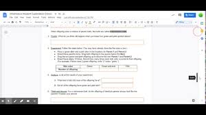 So when submitting a visitor visa application you need to provide ample amount of. Student Exploration Student Exploration Energy Conversion Gizmo Answer Key Free
