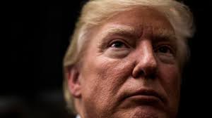 The Armory Show Dissected