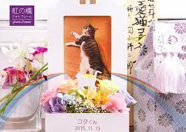 楽天市場 送料無料 プリザーブドフラワー 虹の橋 フォトフレーム フラワーアレンジメント お供え ペット 犬 ねこ 花 名前入り 命日入り 仏花 四十九日 写真立て 一周忌 メモリアル お悔やみ 猫 うさぎ レインボーカラー ペットのお悔やみ プリザーブドフラワー動物の