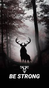 Beast Desire Wallpaper Deer Wallpaper Forest Wallpaper Wild Animals Photography