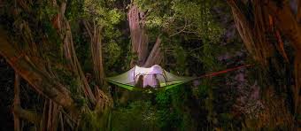 Keeps you off the ground and away from bugs, snakes and mud. Tentsile Tree Tent A Love Story Top Camping Hammocks