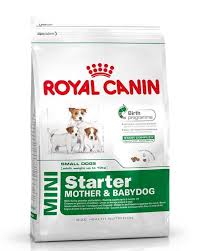 Royal Canin Mini Starter 8 5 Kg Royal Canin Dog Food Dog Food Recipes Dog Food Online