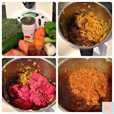 6 Thermomix Rezepte Gesundes Essen Fur Die Kinder Schnell Zaubern Thermomix Rezepte Thermomix Rezepte Thermomix