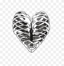 *completed*if you'd like to win a free membership to the premium. Heart Rib Cage Human Skeleton Drawing Chest Tattoo Symmetry Monochrome Human Body Png Pngwing