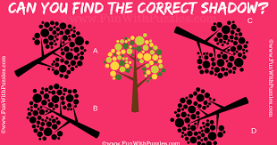 Check spelling or type a new query. Visual Brain Teaser For Adults With Answer