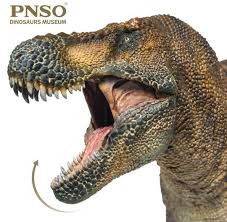 We would like to show you a description here but the site won't allow us. Just Wow Apparently Pnso Is Releasing The Best T Rex Ever Cast In Plastic Dinosaurs