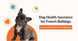 Simple dog birth certificate template for breeders and owners. Dog Insurance For French Bulldogs Best In Malaysia