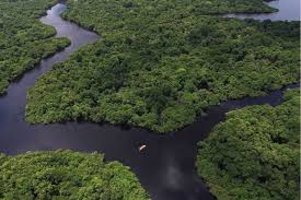 Die regenwälder des amazonas bilden eines der artenreichsten gebiete unseres planeten. Amazonas Gebiet Stosst Mehr Co2 Aus Als Es Bindet Geo