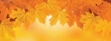 We did not find results for: Autumn Fall Leaves Orange Facebook Cover Fall Facebook Cover Cover Pics Cover Pics For Facebook
