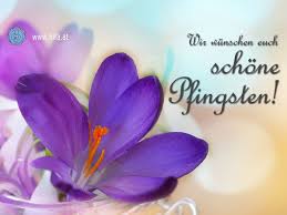 Du hast viele spuren der liebe und fürsorge hinterlassen, und die erinnerung an all das schöne mit dir wird stets in uns lebendig sein. Wir Wunschen Euch Schone Pfingsten Www Hifa At Pfingsten Pfingstfest Pfingstwochenende Gruss Grusse Wunsch Pfingsten Grusse Zu Pfingsten Frohe Pfingsten