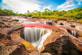 Caño cristales is a colombian river located in the serrania de la macarena province of meta, and is a tributary of the guayabero river. Cano Cristales River Rainbow River Designincredible