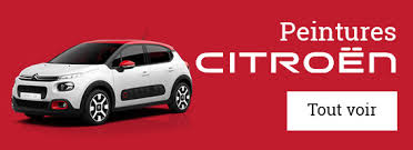 Image result for Bleu Boulanger Pantone 7459c 2014 Peugeot