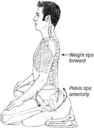Sitting Poses Yoga Anatomy 2nd Edition