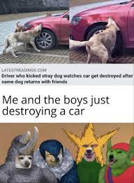 You rock! whether it's for yourself or for sharing with someone that did a great job, these 23 great job memes are the gift that keeps on giving. Good Job Doggos Memes