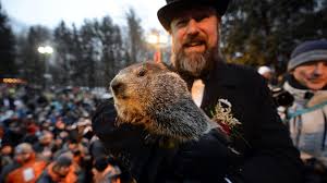 If you purchase something through one of our affiliate links we may earn a. Groundhog Day S Furry Forecasters Predict An Early Spring Marketwatch