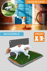 Pin En Bano Para Perros Bandeja Sanitaria Alfombra Sanitaria