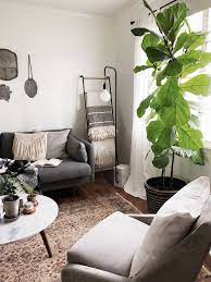 Huge Fiddle Fig Leap Plant In Living Room With Boho Decor Fiddlefig Plants Decortips Home Living Room Home Living Room Decor