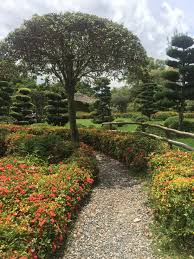 Jardin Botanico Santo Domingo Country Roads Sidewalk Road