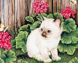 Art Of Jane Maday Kedi Panolar Vs Kedi Yavru Kediler Ve Hayvan