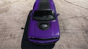 Image result for Plum Crazy 2013 Challenger