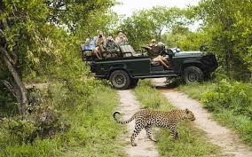 Kumbhalgarh Wildlife Sanctuary | National Park, Information, History,  Architecture, Timiming, Entry Fees