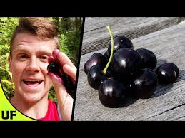 The BEST Cherry?? Black Cherry Taste Test