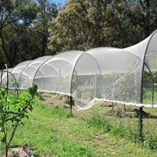 Bird Netting Structures For Fruit Trees Agricultural Net Manufacturers And Suppliers In India We Supply Qulaity Harvesting Net Overhead Crop Netting Citrus Ne Bird Netting Fruit Trees Fruit Garden
