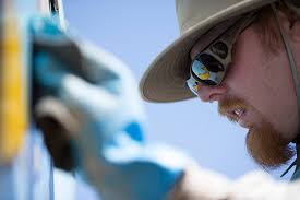 Public art cultural specialist for Clark County heads to San Jose