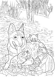 Cats have been each others companions for centuries of documented history. 5 Cats And Dogs Coloring Pages Stamping
