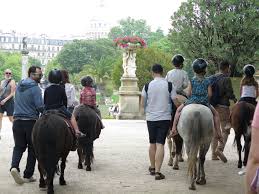 C'est aussi sous ses voûtes qu'est chanté un magnificat lors de la libération de paris, en 1944. Bien Etre Animal Les Poneys Vont Ils Disparaitre Des Parcs Parisiens Le Parisien