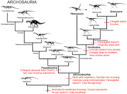 Image Result For Mosasaur Phylogenetic Tree Phylogenetic Tree Prehistoric Creatures Image