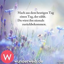 Spruch Des Tages Unsere Highlights Von Facebook Spruch Des Tages Morgen Spruche Spruche