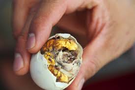 Howstuffworks explains this unusual food. What Eating An Actual Duck Fetus Taught Me About Life By Tom Kuegler Mission Org Medium