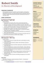These strategic plans detail how the organization asks for donations and how to attract new donors effectively. Director Of Development Resume Samples Qwikresume