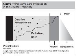 Palliative Care Principles Primary Care Physicians Should