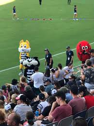 The modern logo does a surprisingly good job of involving the blue and white stripes whilst not involving a horrible cat face. 7afl On Twitter A New Geelongcats Mascot Claudia Or Clawdia Aflwcatspies