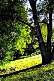 In 1855 it was decided that parts of the hill was to be planted, and a big part of the hill was turned into a park in the next 30 years. 23 Ideer Om St Hanshaugen Park In 2014
