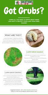 The Easy Way To Eliminate White Grubs From Your Lawn Infographic Solutions Pest Lawn Backyard Putting Green Backyard Hill Landscaping Garden Pest Control