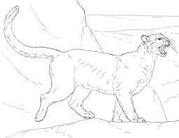 Ausmalbild Puma Ausmalbilder Kostenlos Zum Ausdrucken