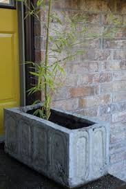 Colorful paint can planters diy. How To Make Your Own Concrete Planter The Owner Builder Network Diy Concrete Planters Large Concrete Planters Diy Planters