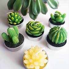 Mira en la siguiente imagen cómo es cuando la desenvuelves. Velas Y Candelabros Regalo Creativo Para Amantes Y Amigos Decoracion Del Hogar La Bellefee 12 Unidades Vela De Cactus Hogar Y Cocina Mk Primaria Ro