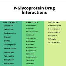 Image result for P-Glycoprotein
