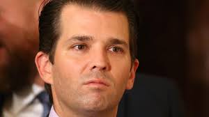 Lawyer for Donald Trump Jr. says new NY Times report 'much ado about  nothing'