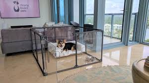 Whether your dog is an extension of these cookies are typically removed or cleared when you log out to ensure that you can only access. Clearly Loved Pets Alternative Antroposofia Roma