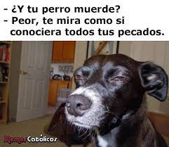 Los 25 Mejores Memes Catolicos De Este 2017 Memes Catolicos Memes Catolicos Memes Divertidos Chistes De Perros